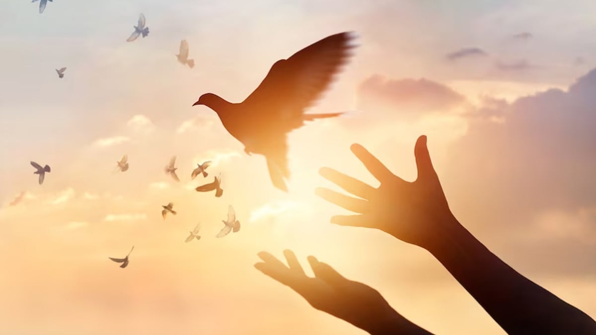 International Day of Living Together in Peace 2023: Promoting harmony and unity across the globe