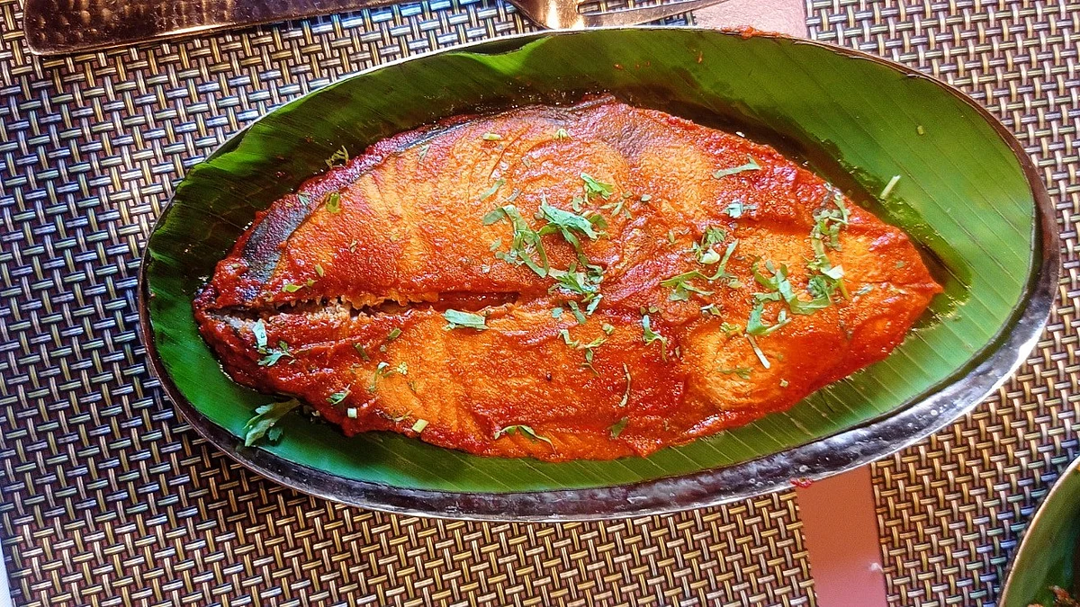 Surmai Fry