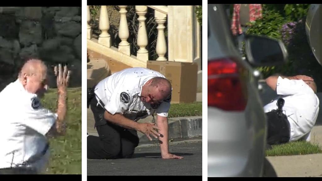 Watch: LAPD Officer, another man hospitalised after being stung severely by Bees; officer falls to the ground