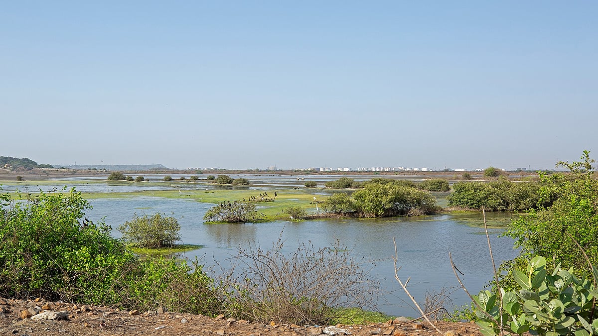 sanctuarynaturefoundation.org