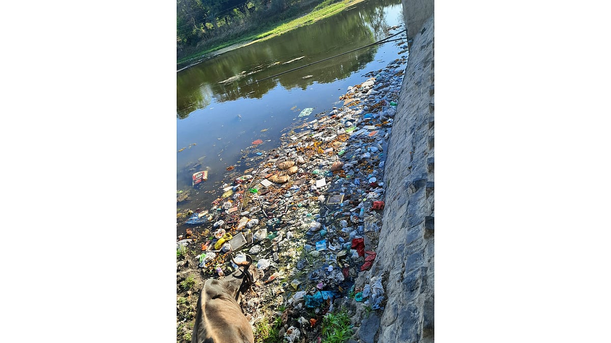 Madhya Pradesh: Civic Authorities Failure Pollutes Mahi In Sardarpur
