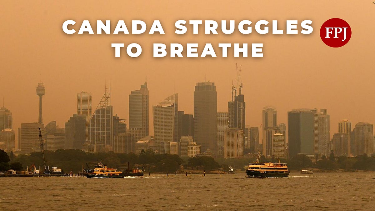 Google Urges East Coast Employees to Work from Home as Wildfire Smoke Affects Air Quality in Major Cities