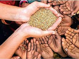 MP: Guna Collector Issues Order To Confiscate Vehicle For Food Grain Black-marketing 
