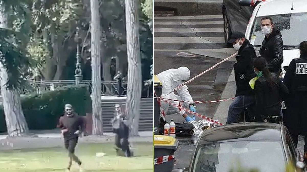 France: Shocking Video Shows Knife-Wielding Syrian Refugee Stabbing A Toddler In Annecy Park | FPJ