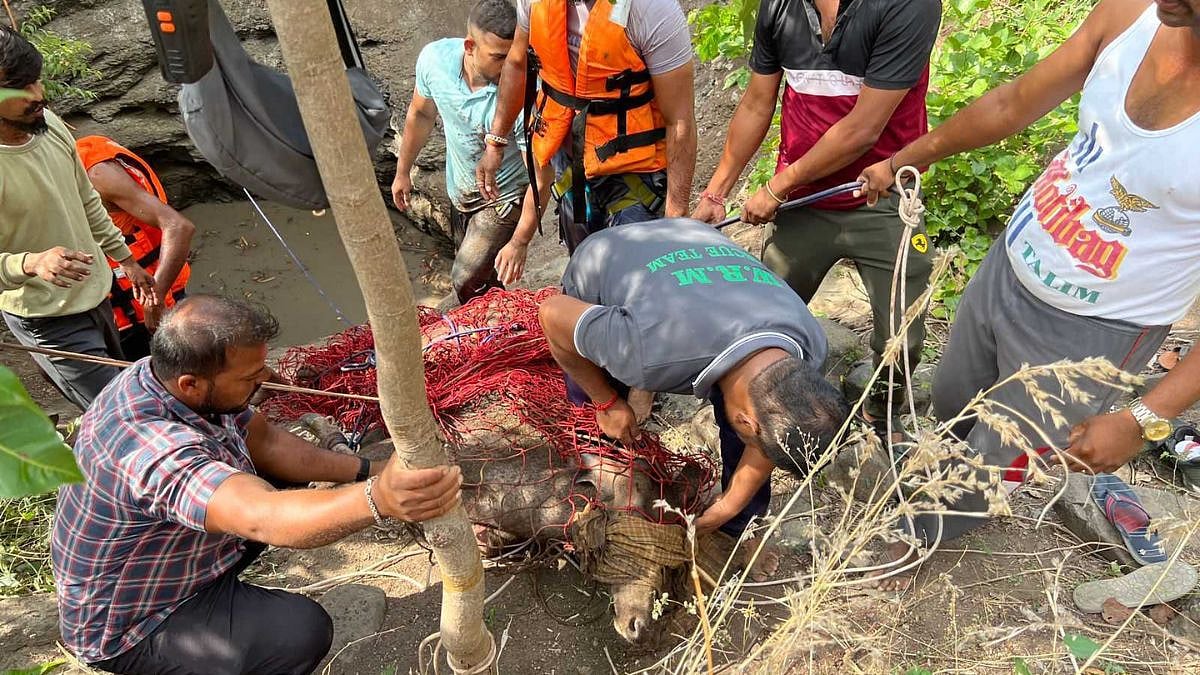 Pune News: Wildlife Conservation Group Rescues Deer From Well In Maval