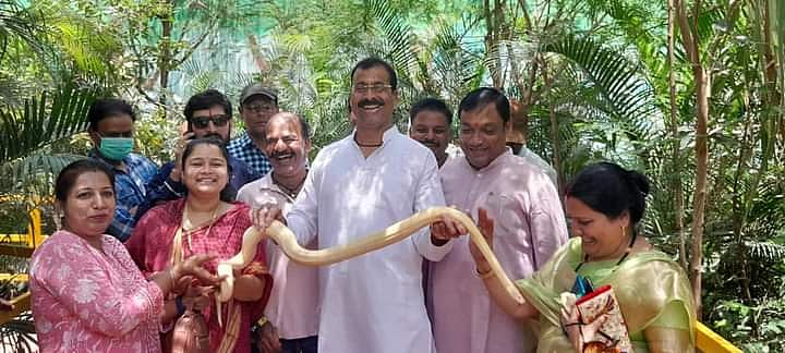 Indore: BJP Corporators Drape python Around Their Necks At City Zoo; Congress Hisses In Anger