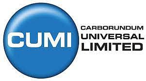 Carborundum Universal Appoints Sridharan Rangarajan As Managing Director Of The Company