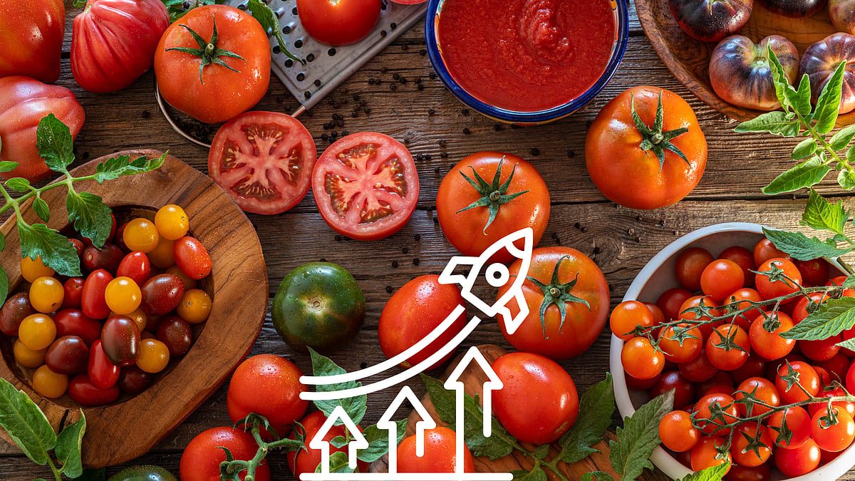 Tomato Price Rise: 5 Simple Ingredients You Can Substitute Tomatoes In Food Preparations