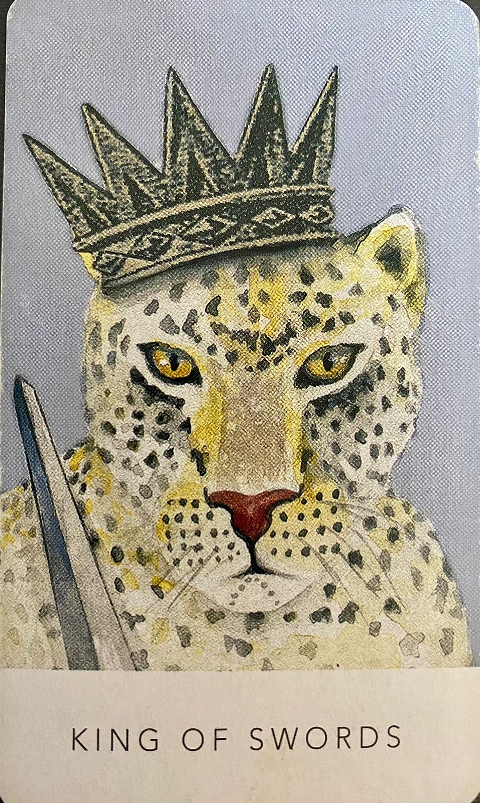 King of Swords