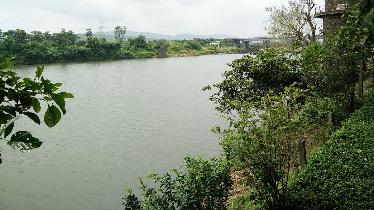 Palghar News: Vaitarna, Pinjal Rivers Close To Alert Level, May Breach Bank With Incessant Rains, Says Weather Department