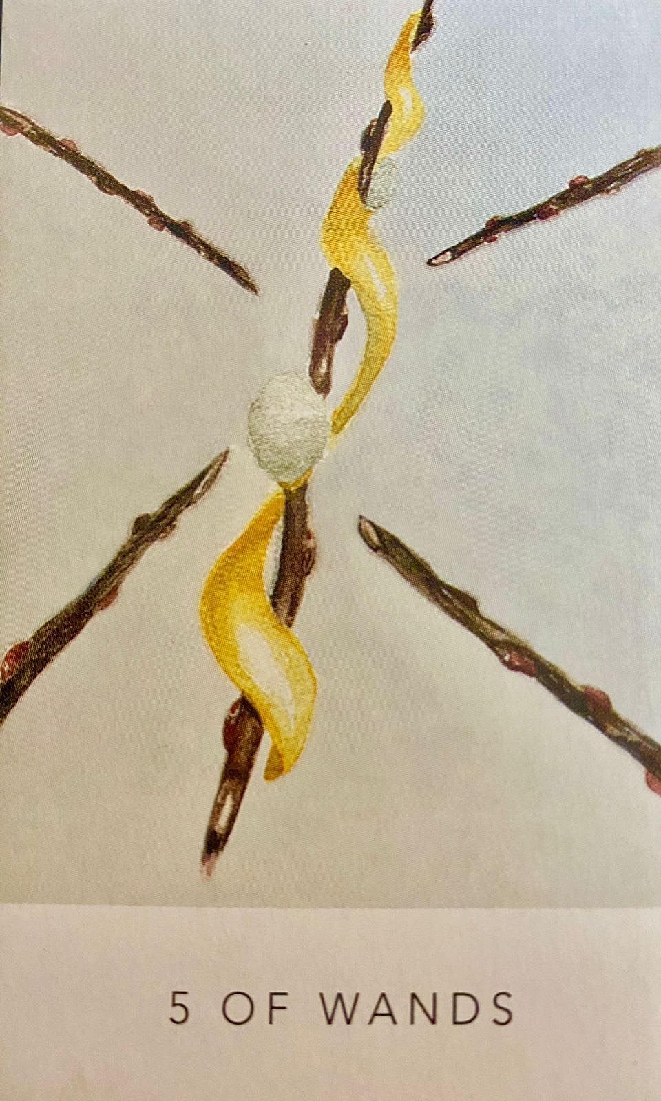 Five of Wands