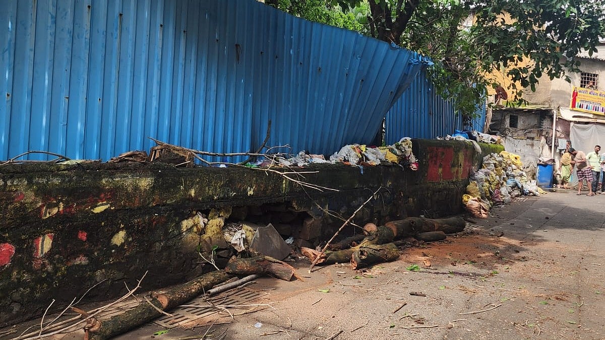 Mumbai News One Dead, Two Injured After Massive Tree Branch Falls On