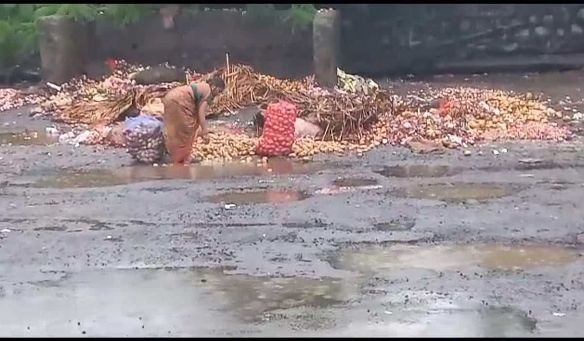 Navi Mumbai:  Rotten Onions, Potatoes Collected From APMC Garbage, Sold In Market
