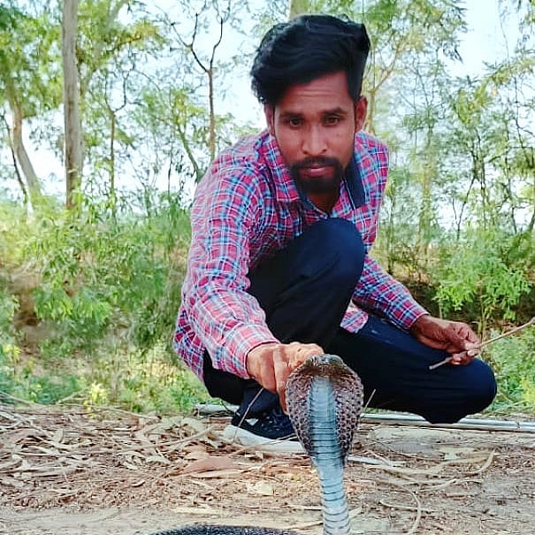 Pawan Jogpal