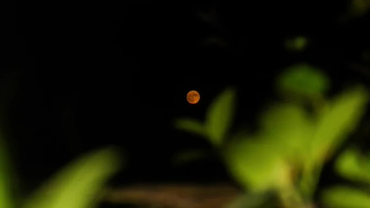 Supermoon In Panipat, Haryana