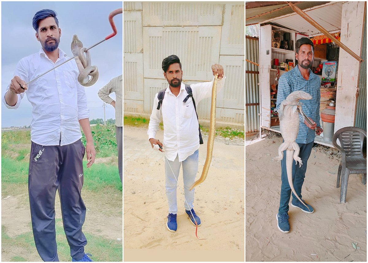 Pawan Jogpal, Snake Man From Haryana Rescued 5,600 Reptiles Even After Being Bitten 10 Times In A Decade
