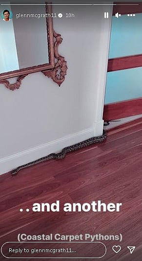 Third snake in the house