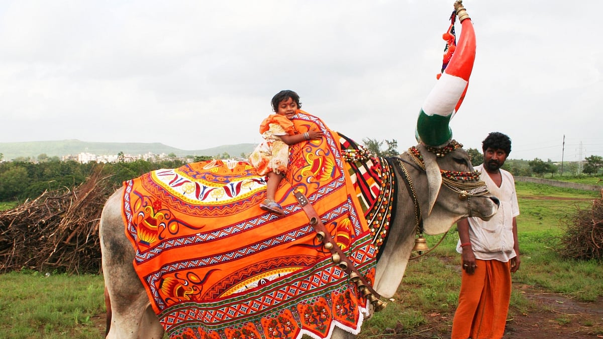 Pola 2023: Celebrations