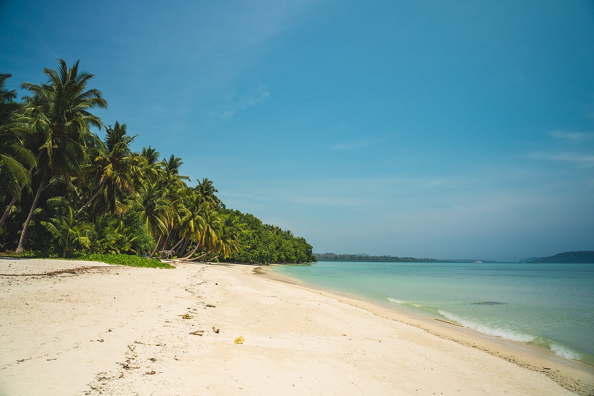 Paradise Alert! Andaman's Beaches Set To Amp Up The Fun With New Shacks