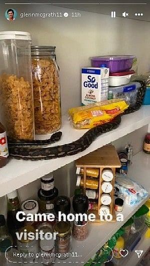 Came home to a visitor