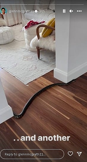 Another snake