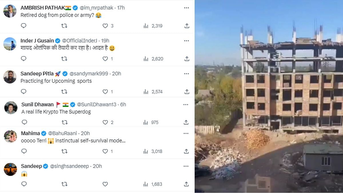 Viral Video 'Super Dog' Jumps Off The 5th Floor Of Under Construction