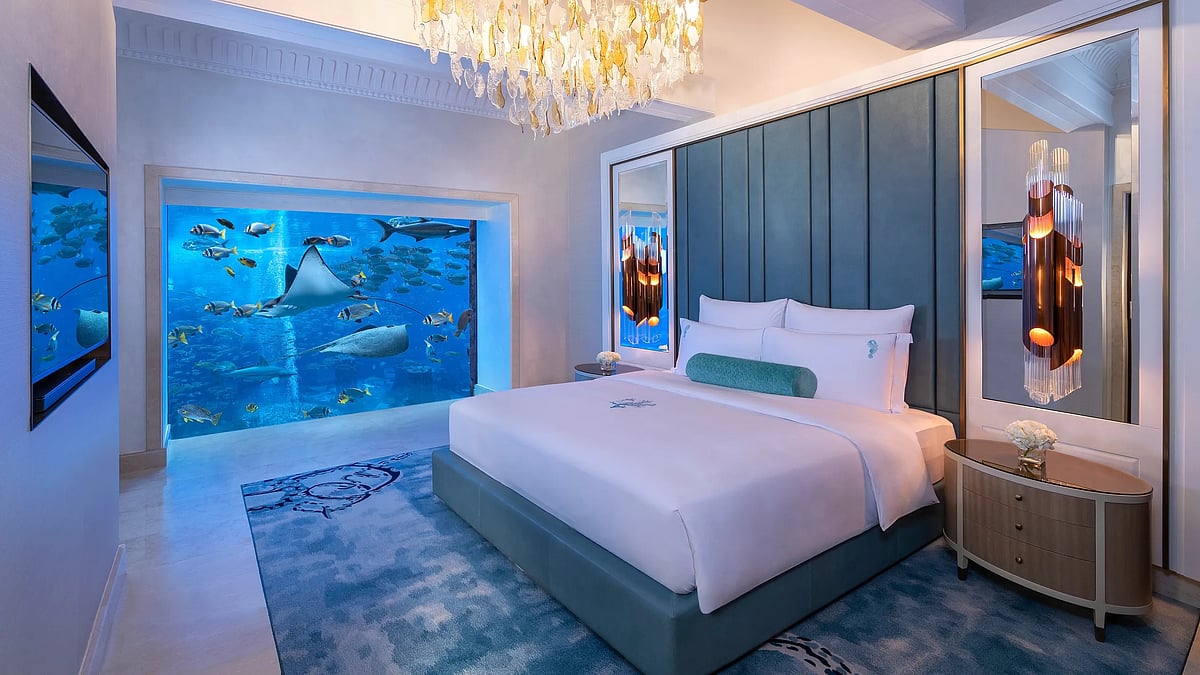 Room with an aquarium view