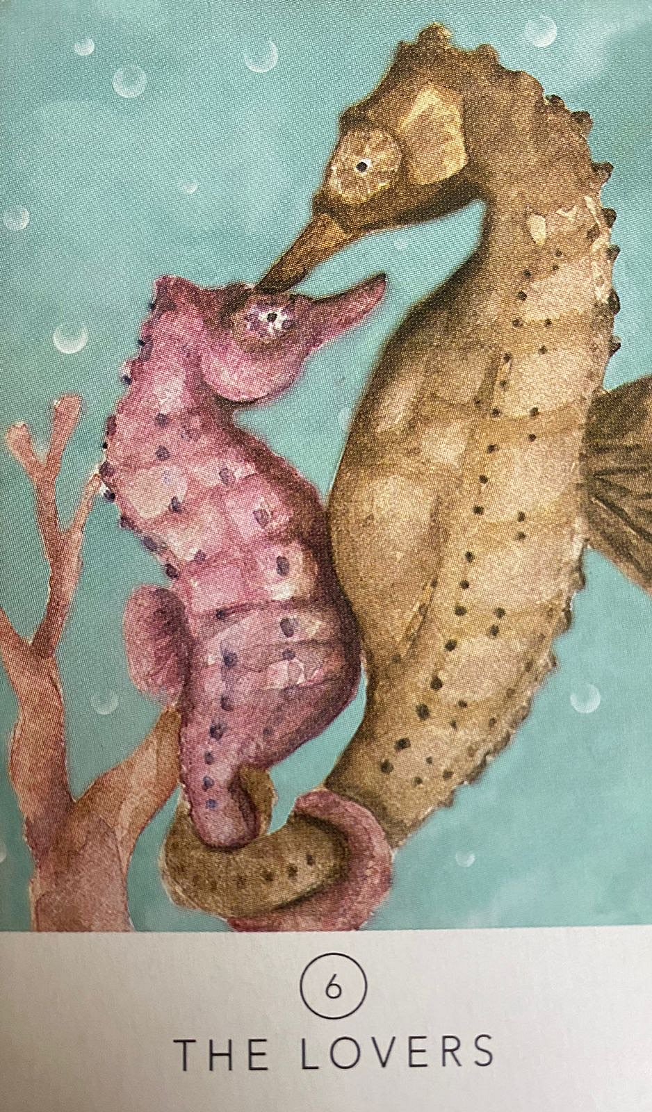  Pic caption: The Lovers