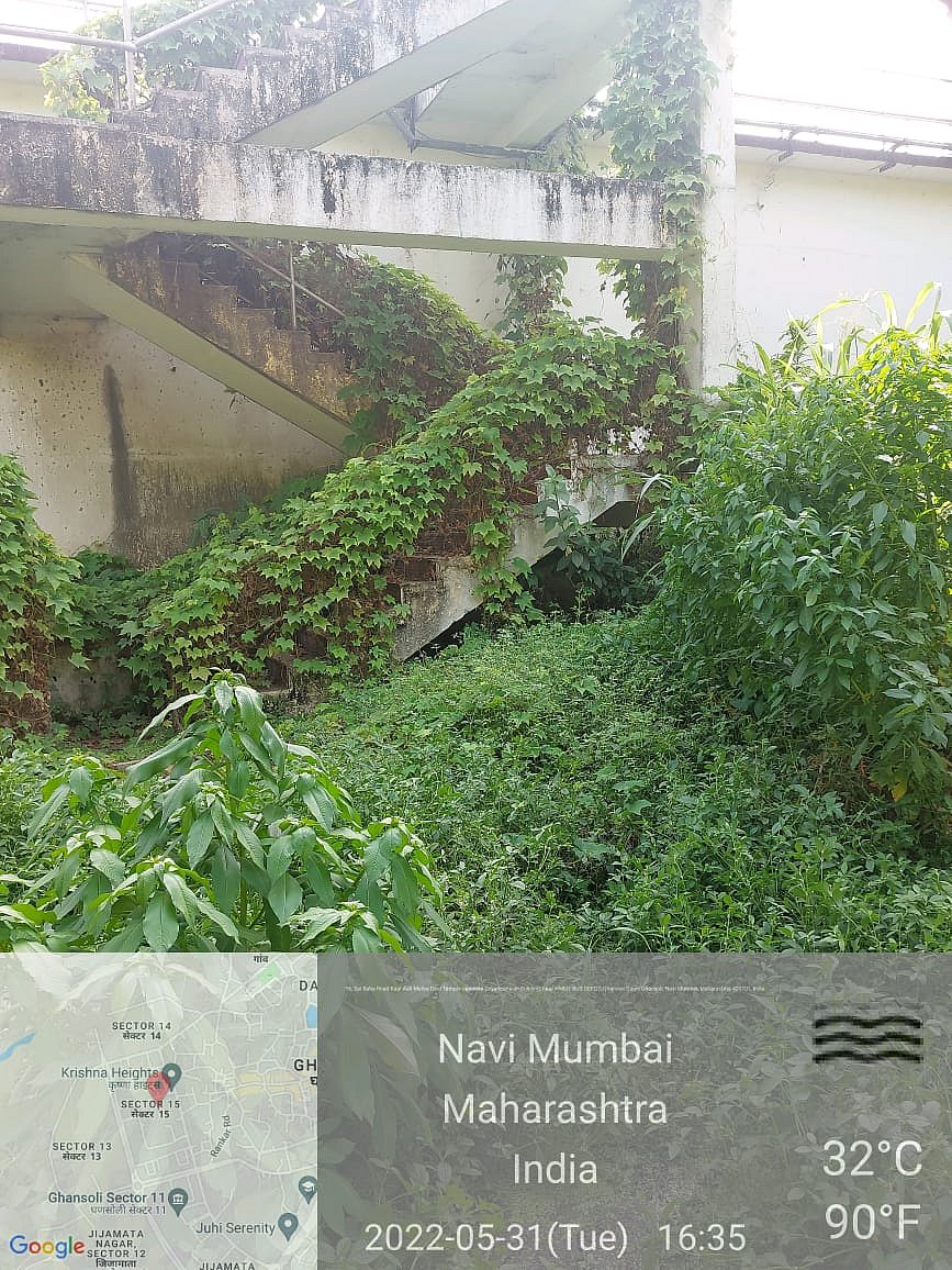 Ghansoli STP vegetation