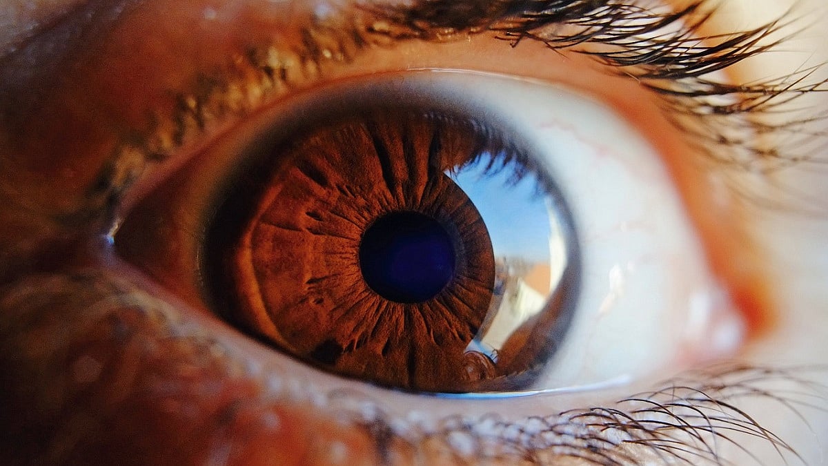 Doctors Report Rise In Myopia Among Youth, Urge ActionTto Prevent 'Digital Eye Strain'