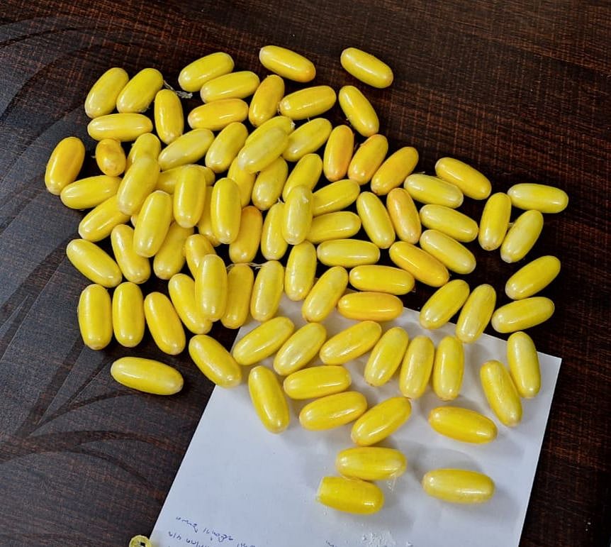 88 capsules of cocaine found in accused's bag