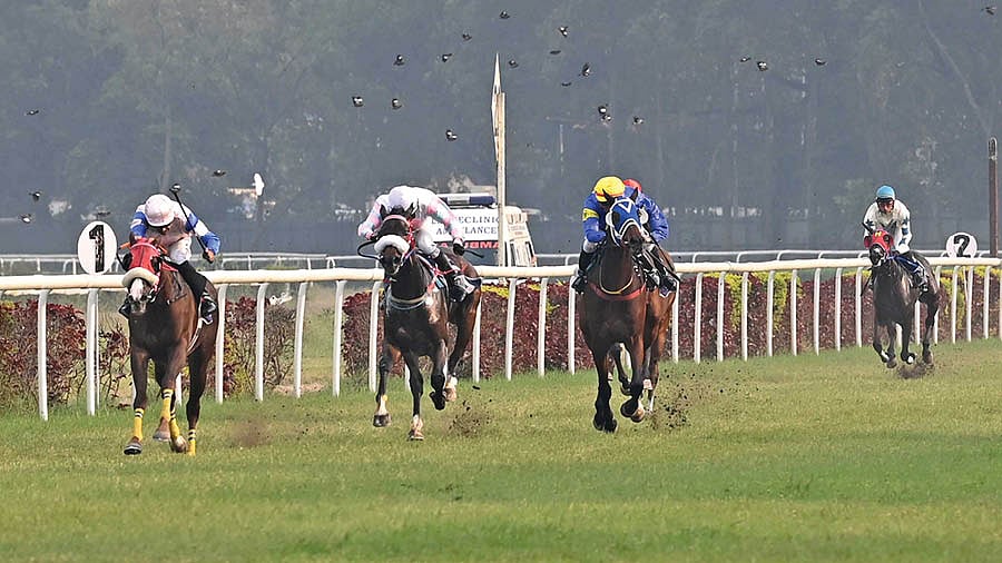 Calcutta Derby Stakes | Credits: Twitter