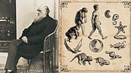 Charles Darwin Birth Anniversary Why The Theory Of Evolution Still Charles Darwin Birth Anniversary Why The Theory Of Evolution Still