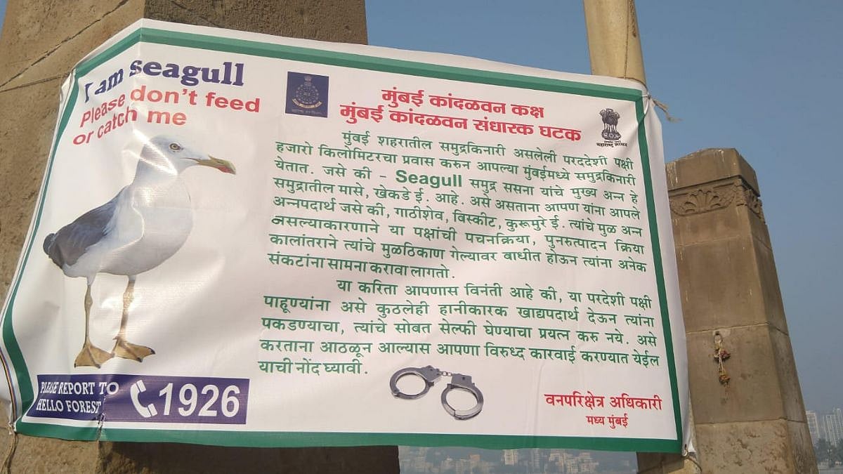2019 Photo of prohibitory order banner displayed at marine drive