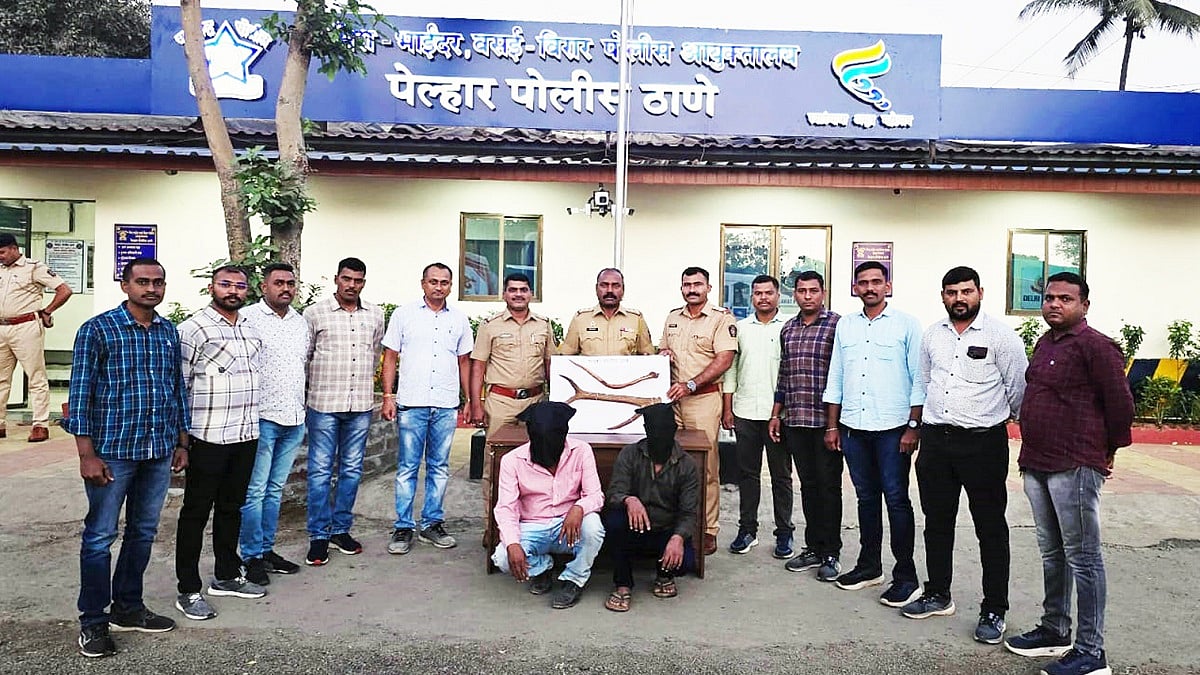 MBVV Cops Nab Duo From Nallasopara Trying To Sell Sambar Deer Horns Worth ₹60 Lakh | 