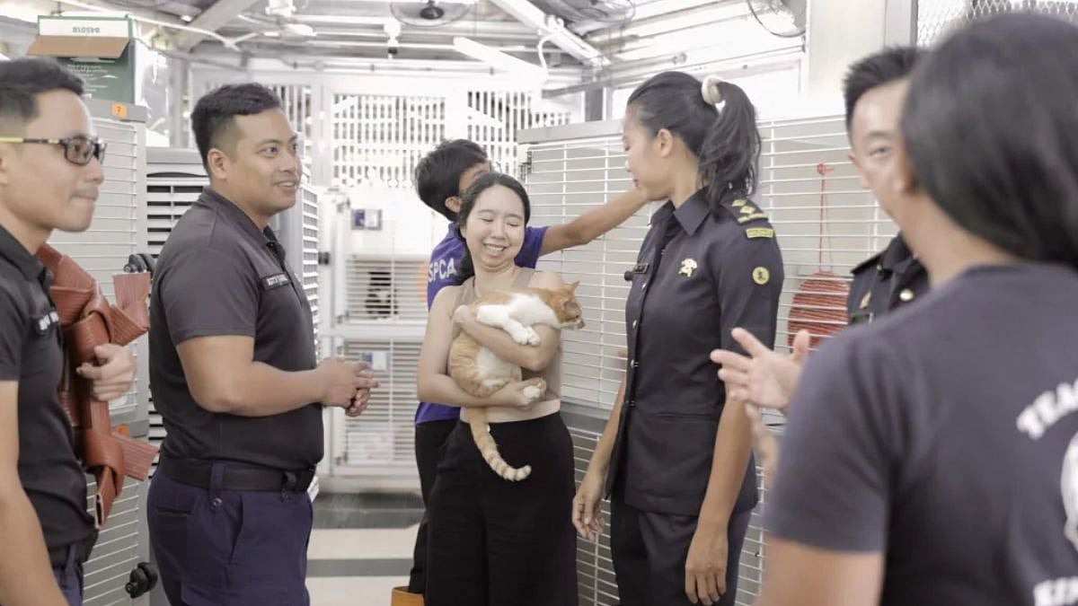 SCDF personnel with SPCA staff and a rescued kitty. Photo courtesy: Facebook/Singapore Civil Defence Force
