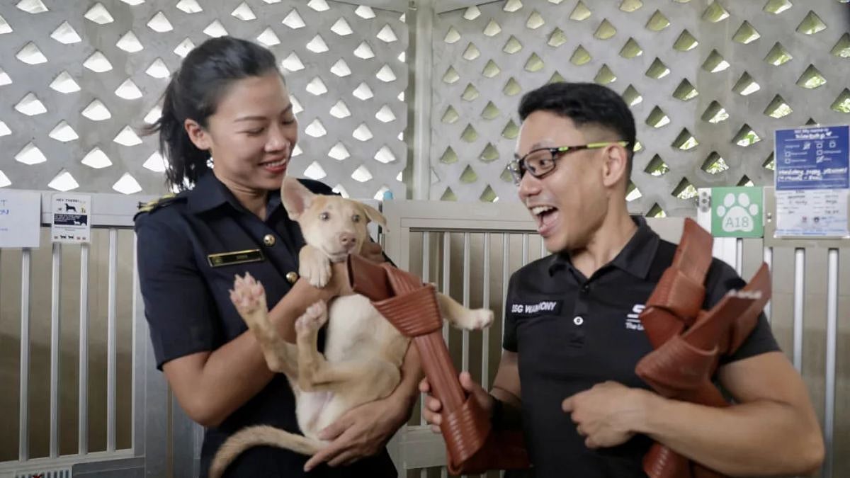 SCDF officers LTA Debra Lee and SSG Wan Rony play with an SPCA shelter pooch named Kimbap. Photo courtesy: Facebook/Singapore Civil Defence Force
