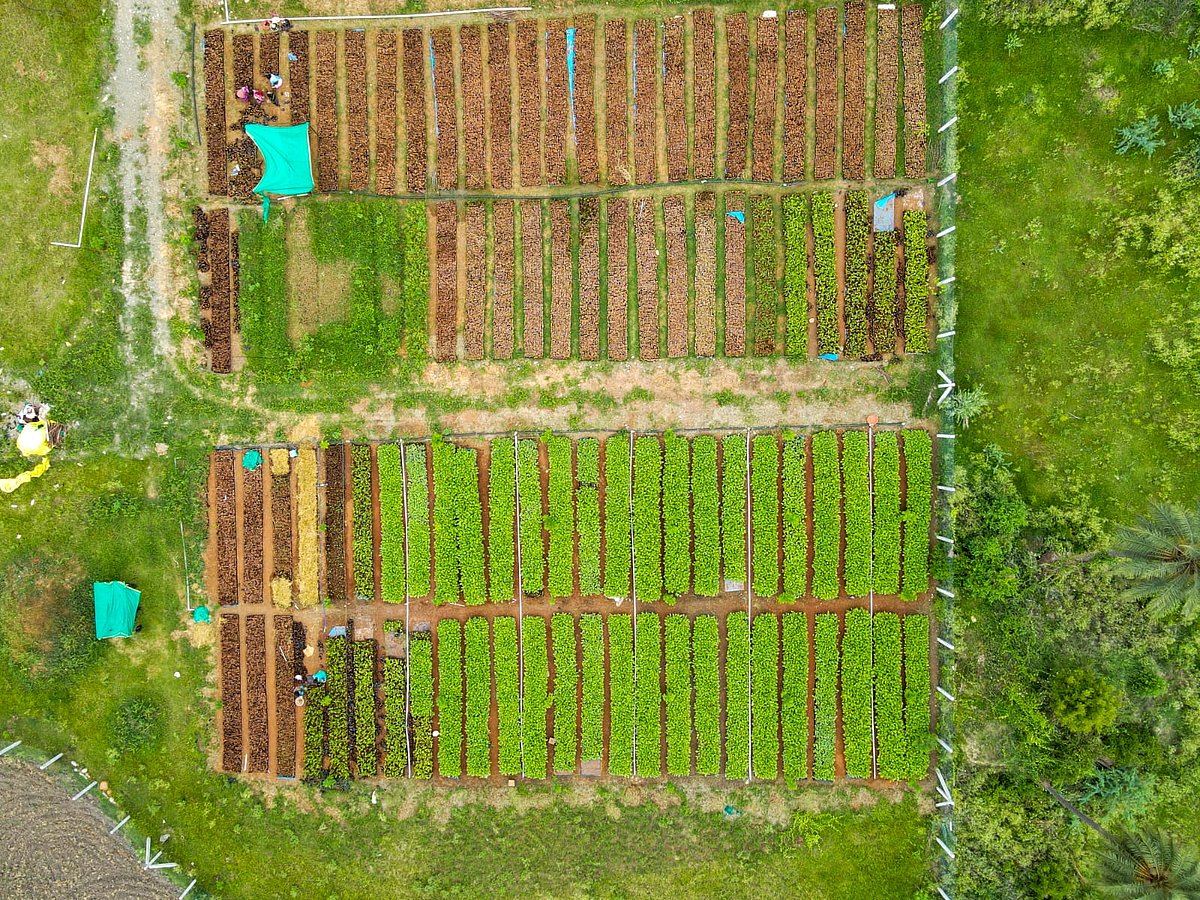 The Cauvery Calling project deployed over 160 field executives to personally visit more than 32,300 farmlands.