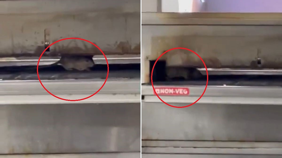 Screenshot from the video claiming that a rat was recorded running inside the oven at a pizza outlet in Mumbai's Byculla area | X