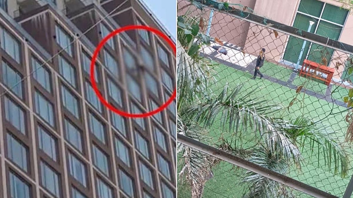 Man jumps to death from 19th floor of Renaissance Hotel in Bengaluru | X