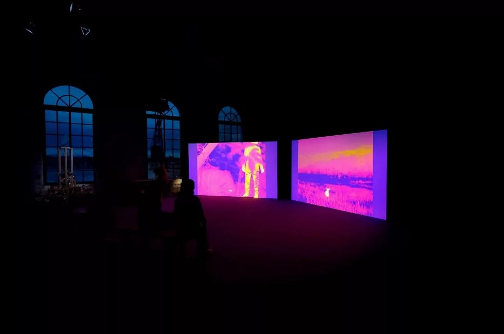 Installation view of Buffy (2024) and The Owl, The Travellers and The Cement Drain (2024). Photo courtesy: Robert Zhao Renhui.