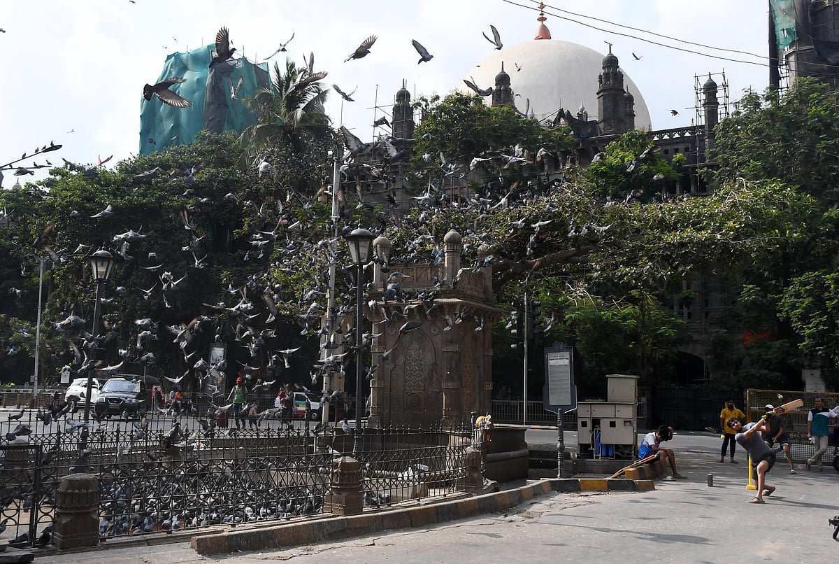 Beating the heat, cricket enthusiasts play on the road outside the General Post Office
near CSMT