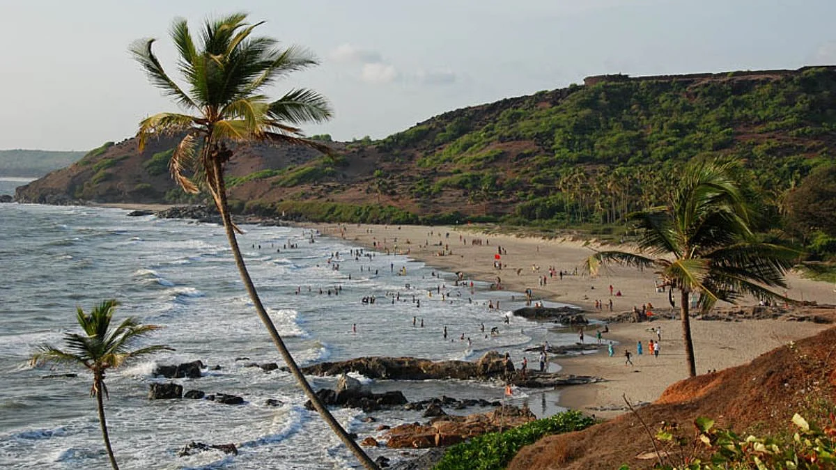 Goa: Streams Of Loud Music Threaten Paradise Of Morjim Coastline