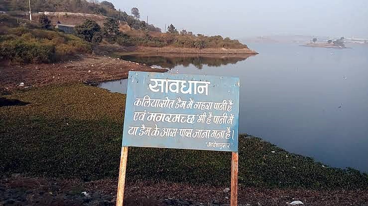 Crocodiles At Kaliasot Pose Danger To People; 16 Crocodile Attack Incident, Two Lives Lost In 18 Yrs - Vimarsana News