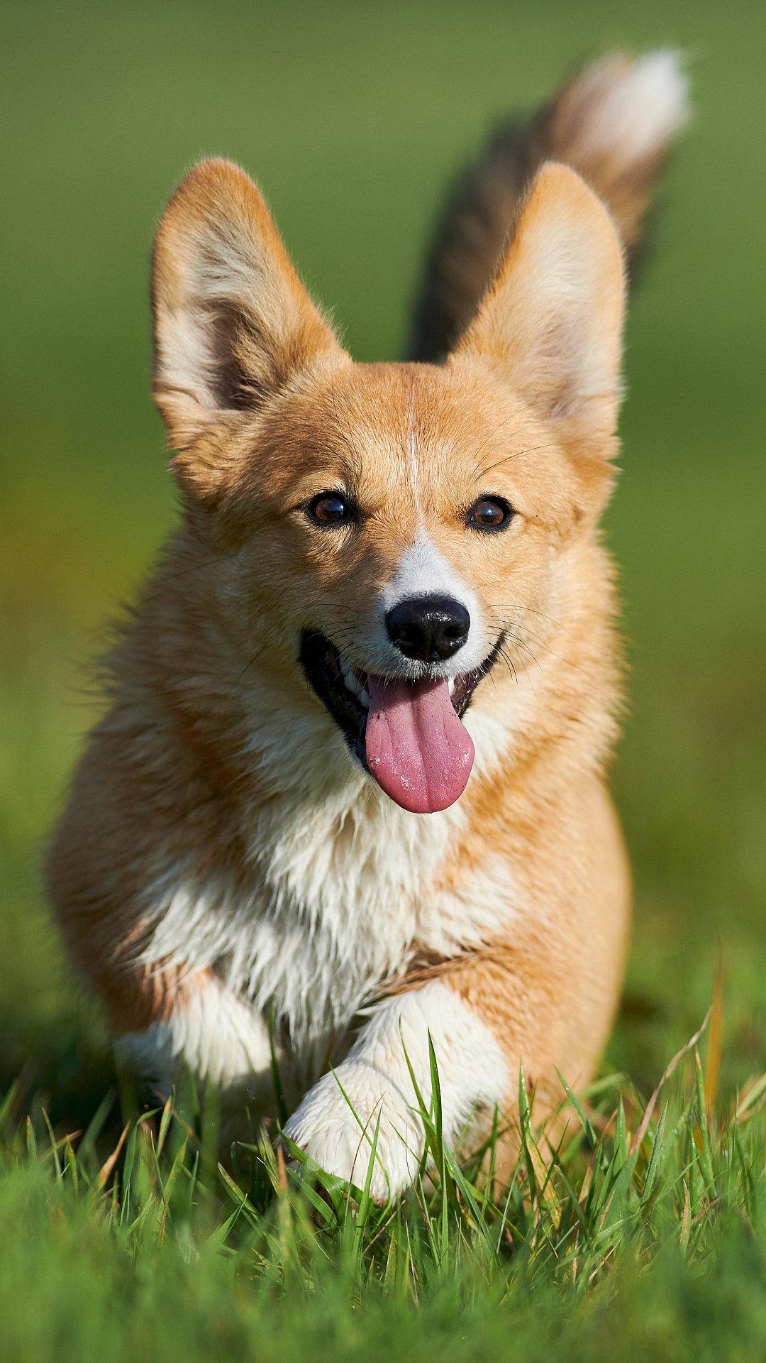 International Day 2024 Lesser Known Facts About