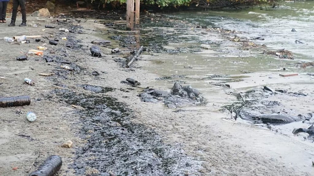 Polluted beach at Johor