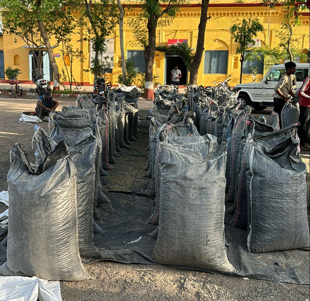 Massive Anti-Drug Operation: CBN Seizes 5,500-Kg Poppy Straw, 9-Kg Opium, Firearms & Vehicles In Neemuch