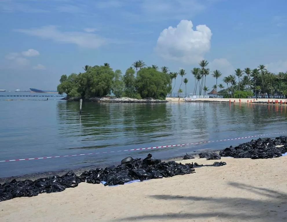 Minister Grace Fu visited Tanjong Beach and Siloso Beach on June 20 to witness the clean-up drive.