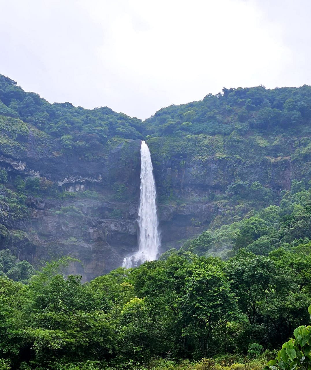 Satara's Ozarde Waterfall Welcomes Tourists After Three-Year Break | FPJ 