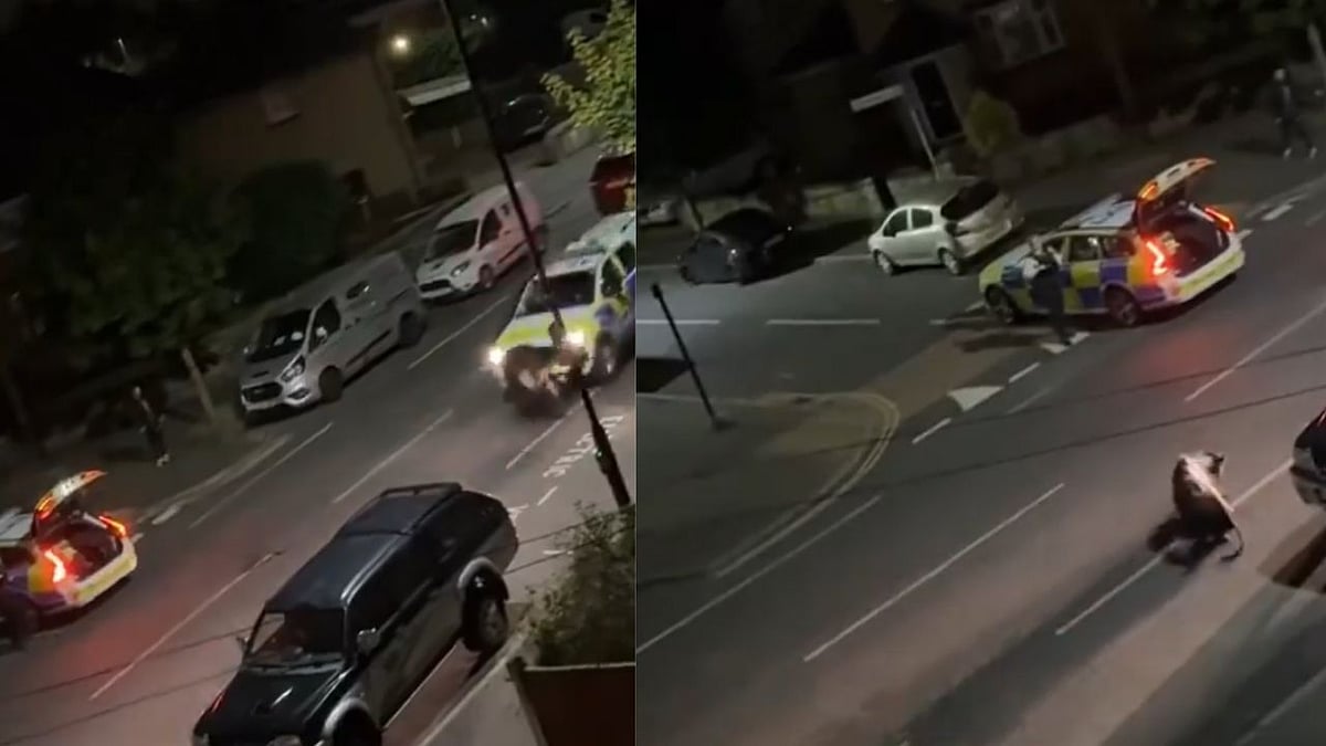 Horrific VIDEO: Police Stop Cow On The Loose By Ramming It With Van In England’s Surrey; Netizens React